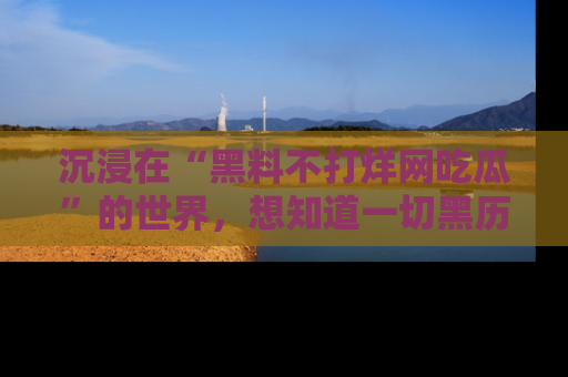 沉浸在“黑料不打烊网吃瓜”的世界，想知道一切黑历史与内幕信息的网站！