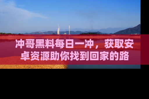 冲哥黑料每日一冲，获取安卓资源助你找到回家的路