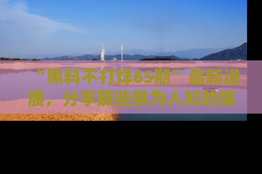 “黑料不打烊65期”最新进展，分享那些鲜为人知的娱乐八卦