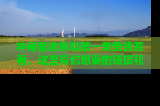 冲哥精选黑料第一集免费观看，这里有你想要的链接和内幕！
