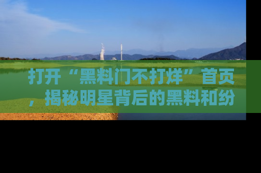 打开“黑料门不打烊”首页，揭秘明星背后的黑料和纷争真相！