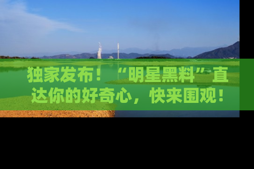独家发布！“明星黑料”直达你的好奇心，快来围观！