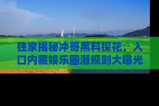 独家揭秘冲哥黑料探花，入口内藏娱乐圈潜规则大曝光
