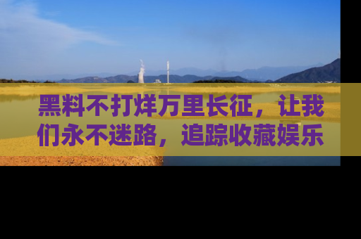 黑料不打烊万里长征，让我们永不迷路，追踪收藏娱乐爆料的乐趣！