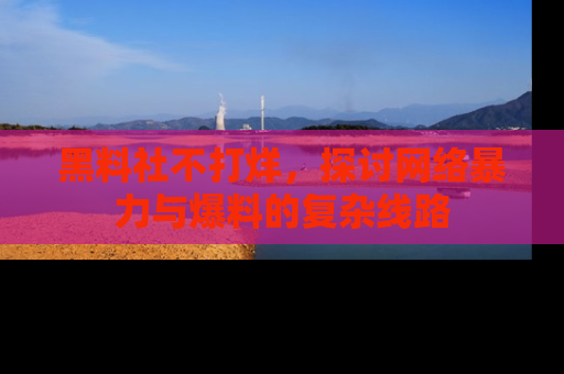 黑料社不打烊，探讨网络暴力与爆料的复杂线路