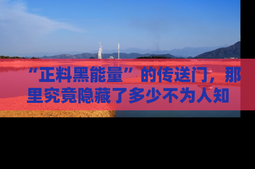 “正料黑能量”的传送门，那里究竟隐藏了多少不为人知的秘密？