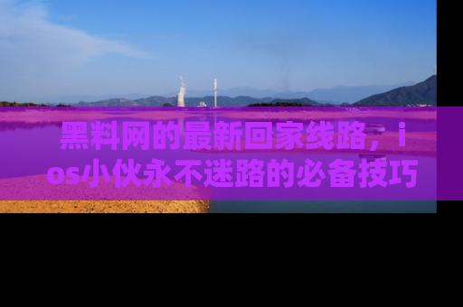 黑料网的最新回家线路，ios小伙永不迷路的必备技巧！