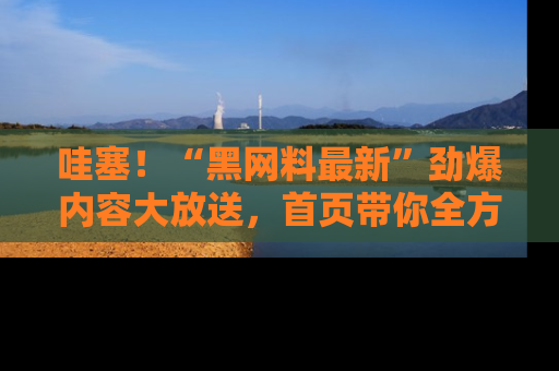 哇塞!“黑网料最新”劲爆内容大放送,首页带你全方位了解哦,小可爱们