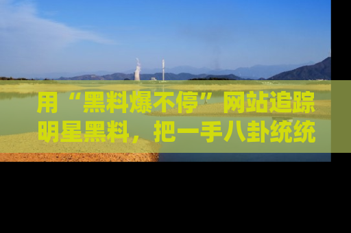 用“黑料爆不停”网站追踪明星黑料，把一手八卦统统收进你的后宫中！