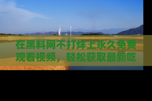 在黑料网不打烊上永久免费观看视频,轻松获取最新吃瓜资讯!