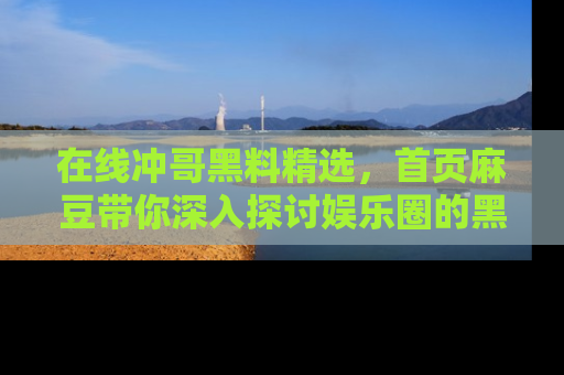 在线冲哥黑料精选,首页麻豆带你深入探讨娱乐圈的黑暗面