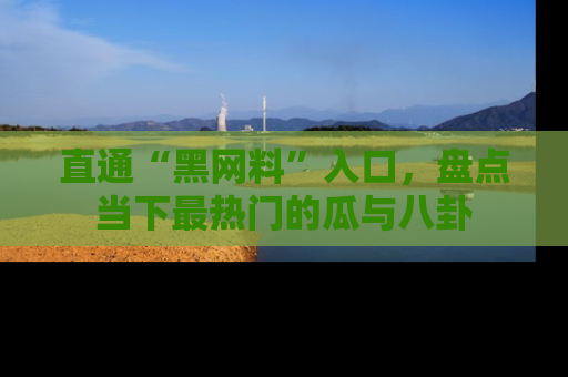 直通“黑网料”入口,盘点当下最热门的瓜与八卦